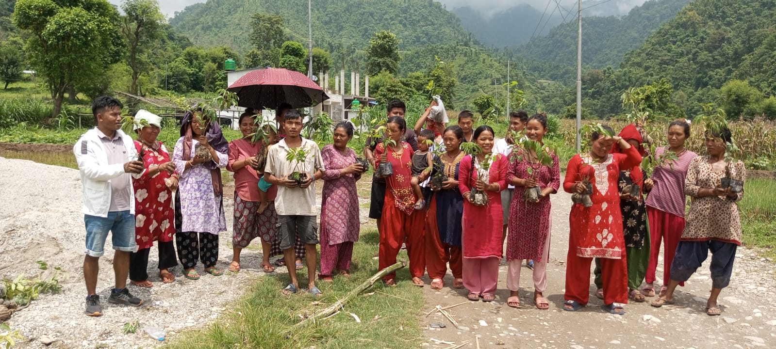 Raksirang - Distribution of fruits sapling to each of 105 members of 3 groups the saplings are Litchi, Lemon and Japanese Haluwabed